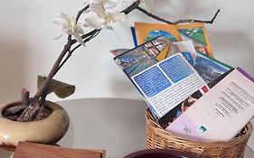 Tico Experience In A Family-Friendly Neighborhood
